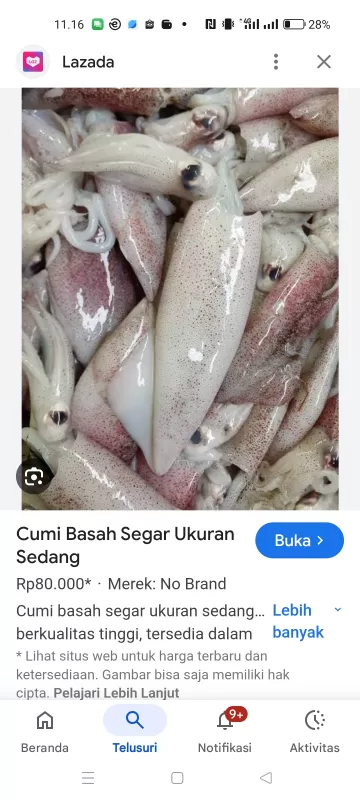Cumi fresh